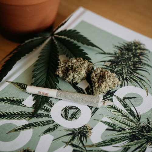 CBD als Alternative zu Cannabis