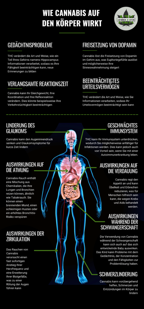 Wie Cannabis auf den Körper wirkt Infografik-min
