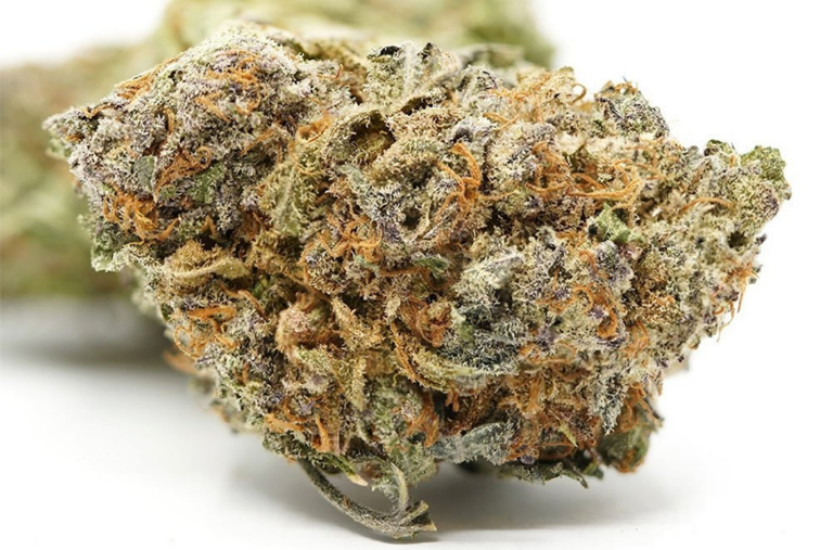 Die wichtigsten Fragen zu Cannabis