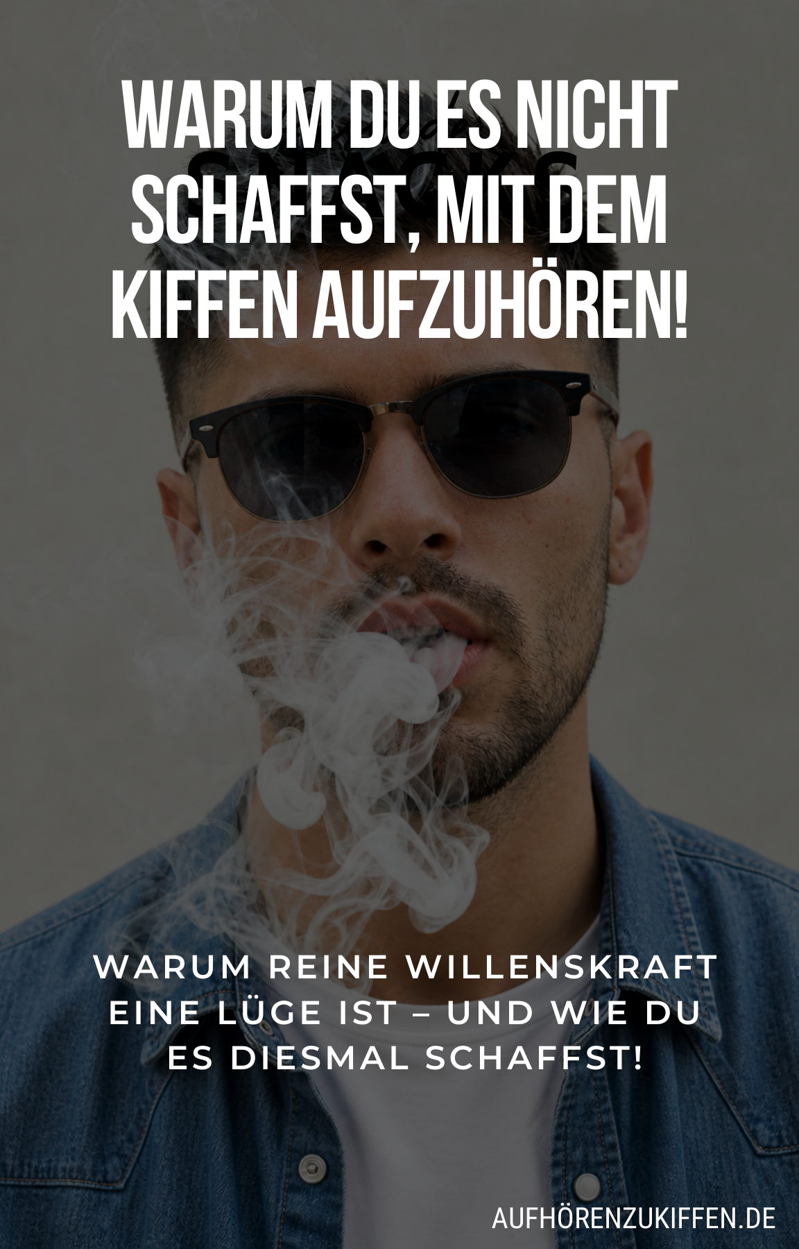 E-Book: Warum du es nicht schaffst, mit dem Kiffen aufzuhören
