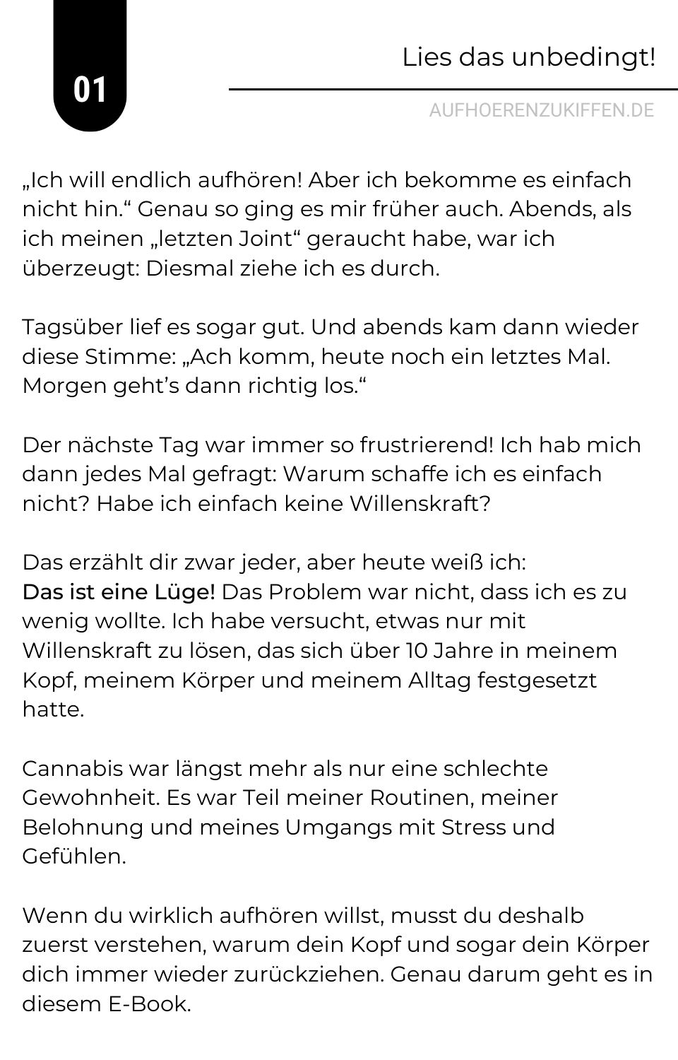 E-Book, Seite 3