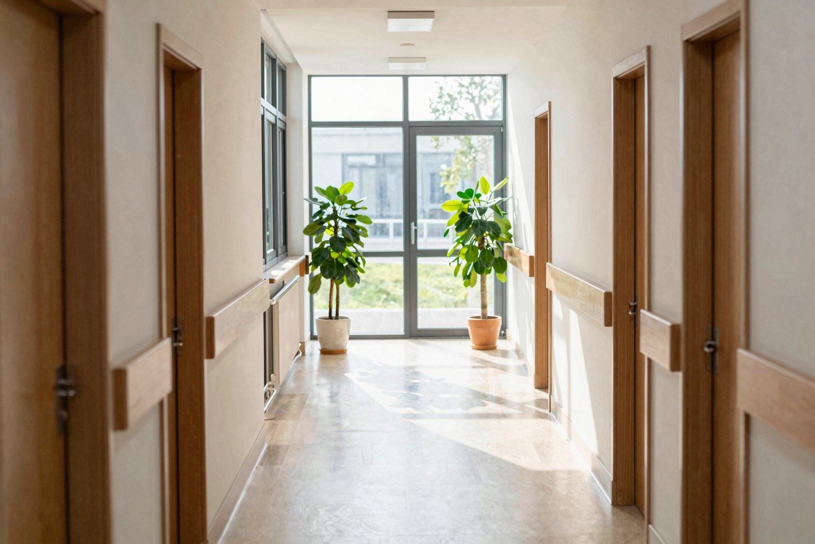 Heller, leerer Klinikflur mit Pflanzen am Fenster